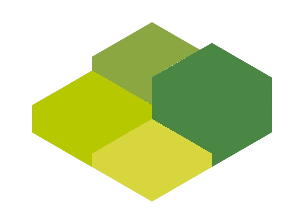 BRILLIANT (MAN SAU) ENGINEERING LTD